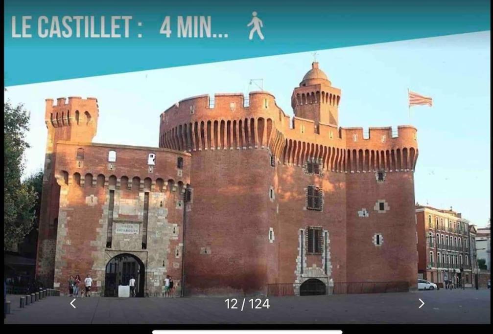 En Plein Coeur De Perpignan Le Charmant Eksteriør billede